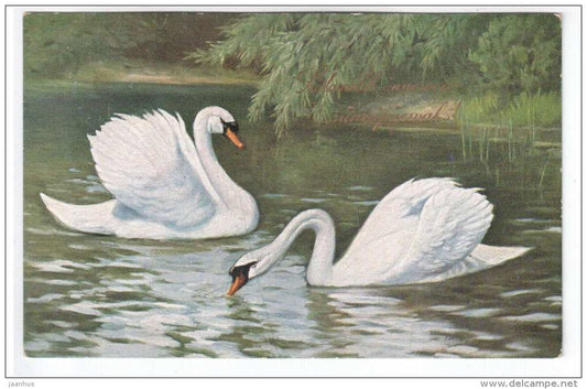 illustration - Swan - birds - 953 - old postcard - circulated in Estonia 1925 , Tallinn - used - JH Postcards