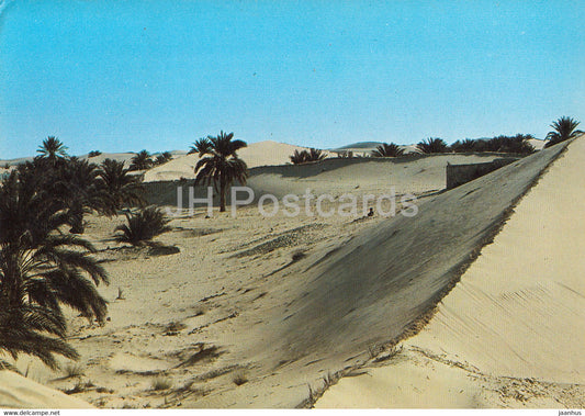 Le Sud Fascinant - desert - 1979 - Algeria - used - JH Postcards