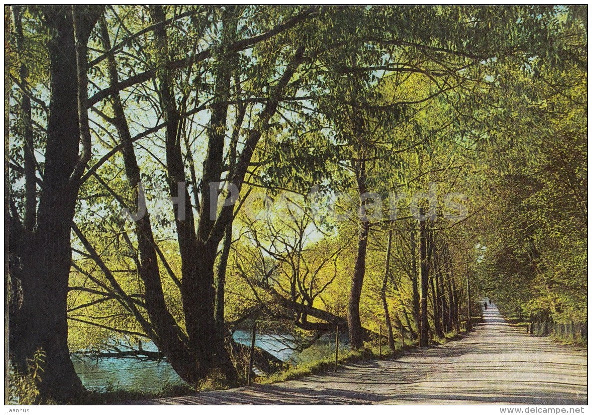 The Preshpekt avenue - Russian writer Leo Tolstoy Museum - Yasnaya Polyana - 1967 - Russia USSR - unused - JH Postcards