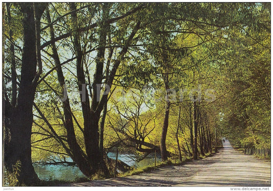 The Preshpekt avenue - Russian writer Leo Tolstoy Museum - Yasnaya Polyana - 1967 - Russia USSR - unused - JH Postcards