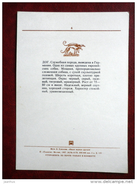 Dane - dogs - 1987 - Russia USSR - unused - JH Postcards