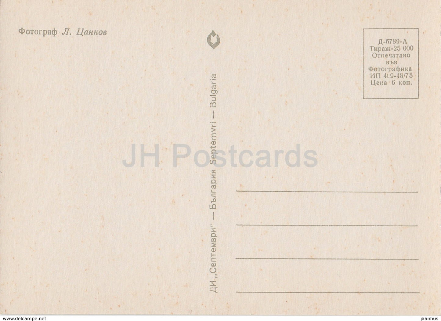 Fleurs roses - plantes - Bulgarie - inutilisées