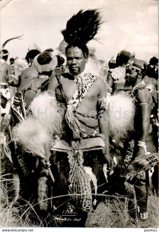 Zulu Chief - folk costumes - 791 - old postcard - 1954 - South Africa - used - JH Postcards