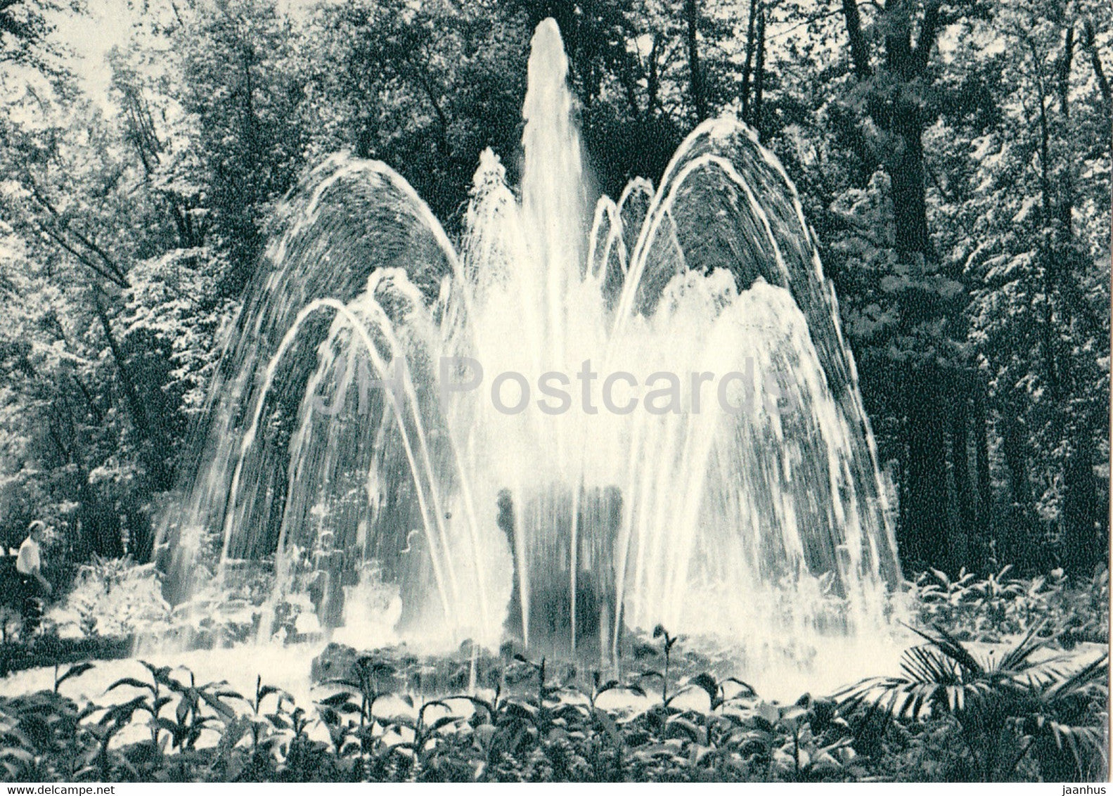 Monplaisir Garden - The Sheaf Fountain - Petrodvorets reborn from the ashes - 1970 - USSR Russia - unused - JH Postcards