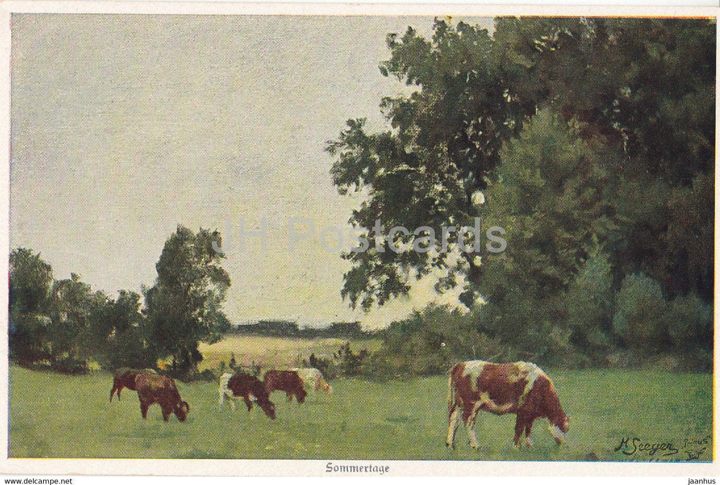 painting by Hermann Seeger - Sommertage - cow - animals - Primus - 1 1174 - German art - old postcard - Germany - unused - JH Postcards