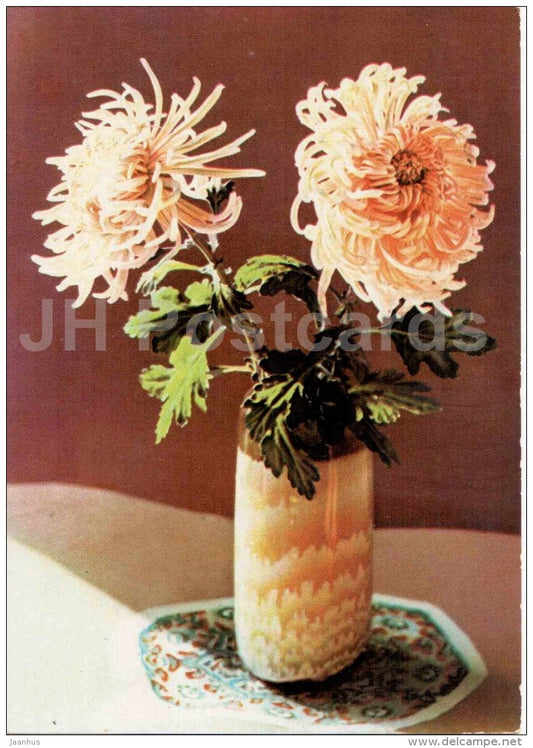 Chrysanthemum - flowers - Vietnam - unused - JH Postcards