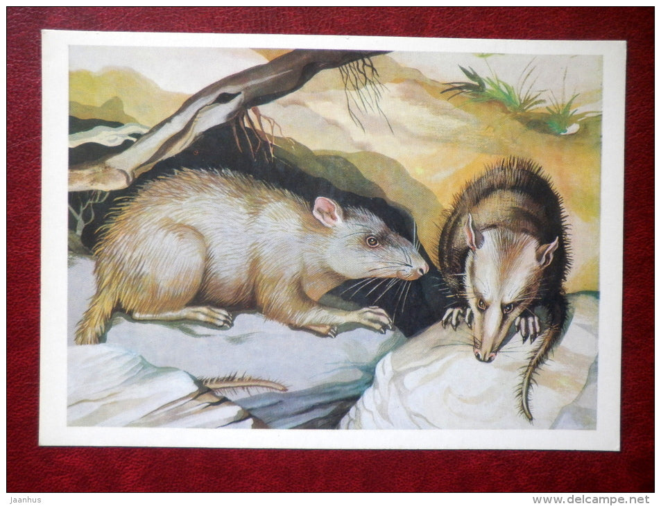 Triconodont - dinosaurs - Illustration by I. Chevereva - 1983 - Russia USSR - unused - JH Postcards