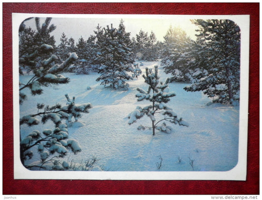 New Year Greeting card - winter landscape - trees - 1987 - Estonia USSR - used - JH Postcards
