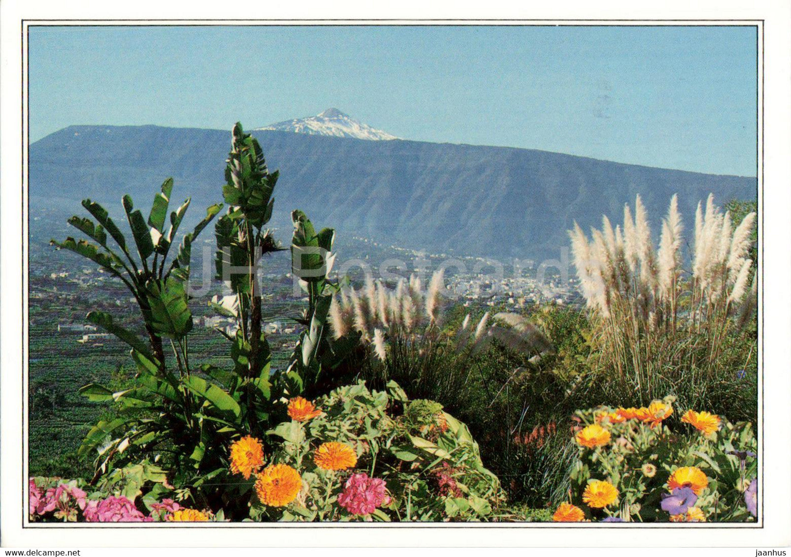 Paisaje del Teide - Puerto de la Cruz - Tenerife - Islas Canarias - 101 - 1996 - Spain - used - JH Postcards