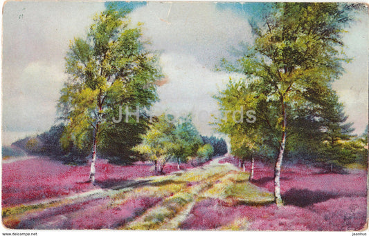 Nature - road - birch - Photochromie - 549 - HB - used - JH Postcards