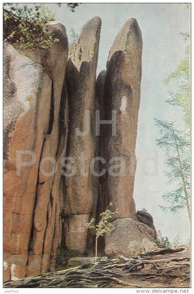 Feathers - Stolby Nature Sanctuary - 1968 - Russia USSR - unused - JH Postcards