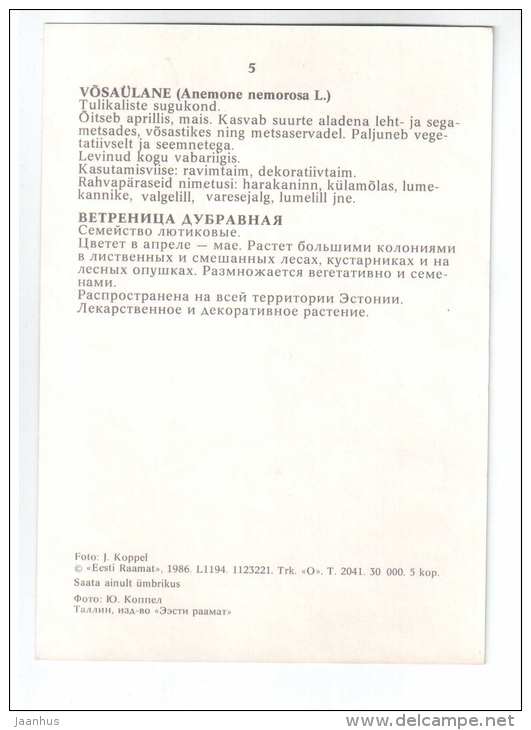 Wood Anemone - Anemone nemorosa - Spring Flowers - 1986 - Estonia USSR - unused - JH Postcards