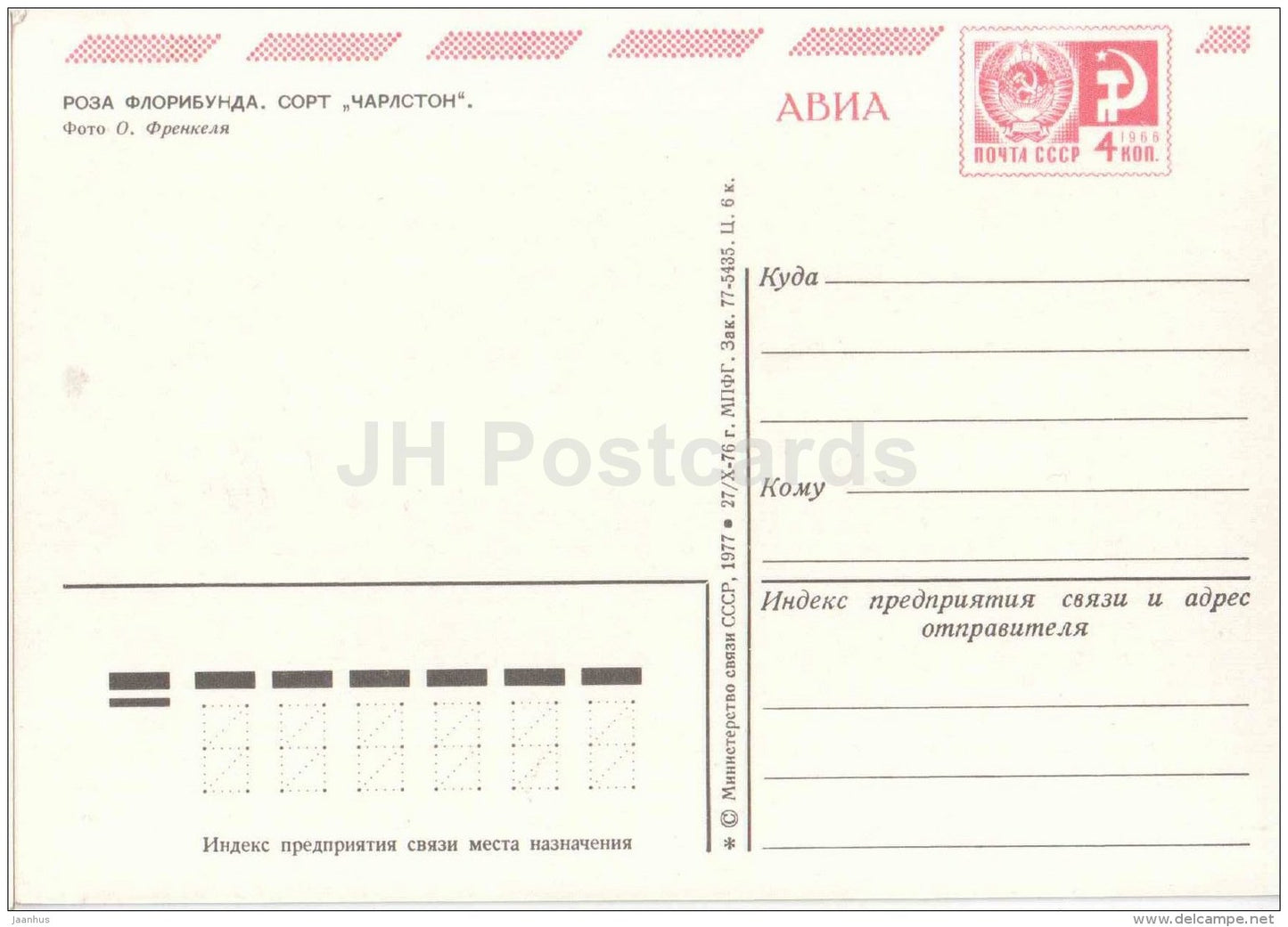rose Floribunda , Charleston - flowers - AVIA - postal stationery - 1977 - Russia USSR - unused - JH Postcards