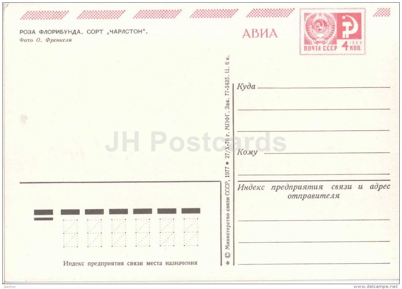 rose Floribunda , Charleston - flowers - AVIA - postal stationery - 1977 - Russia USSR - unused - JH Postcards