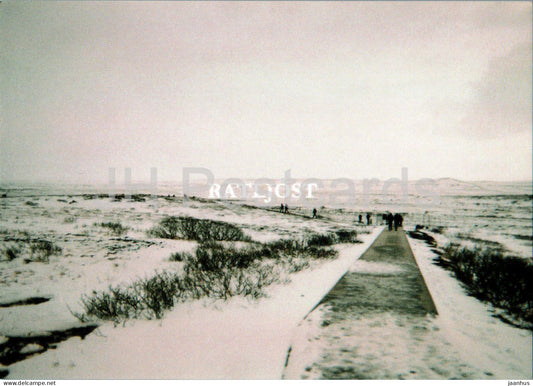 Ratljost - Denmark - used - JH Postcards