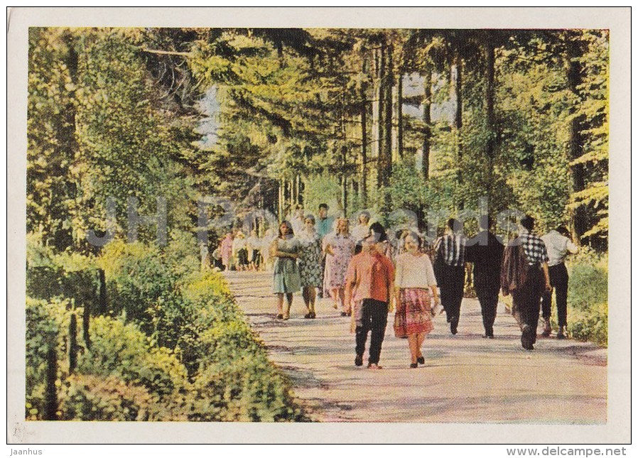 Prespekt Alley - Russian writer Leo Tolstoy House Museum - Yasnaya Polyana - 1963 - Russia USSR - unused - JH Postcards