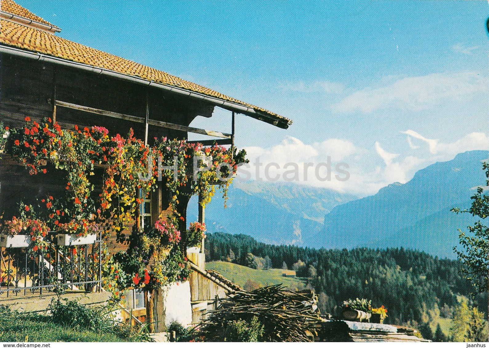 Berner Oberland - Beatenberg - 1983 - Switzerland - used - JH Postcards