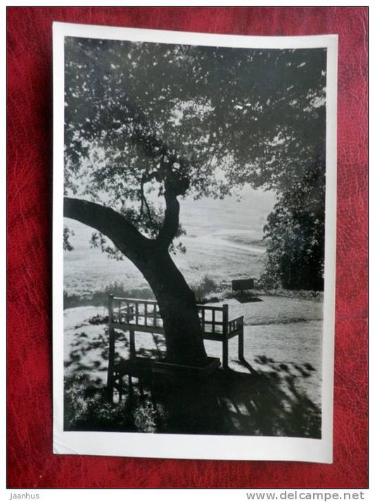 Pushkin National Park - Trigorskoye - Onegin bench - 1958 - Russia - USSR - unused - JH Postcards