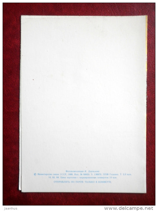 New Year greeting card - decorations - rose - flowers - 1988 - Russia USSR - unused - JH Postcards