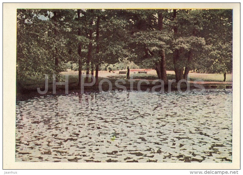 Palanga park - Palanga - Lithuania USSR - unused - JH Postcards