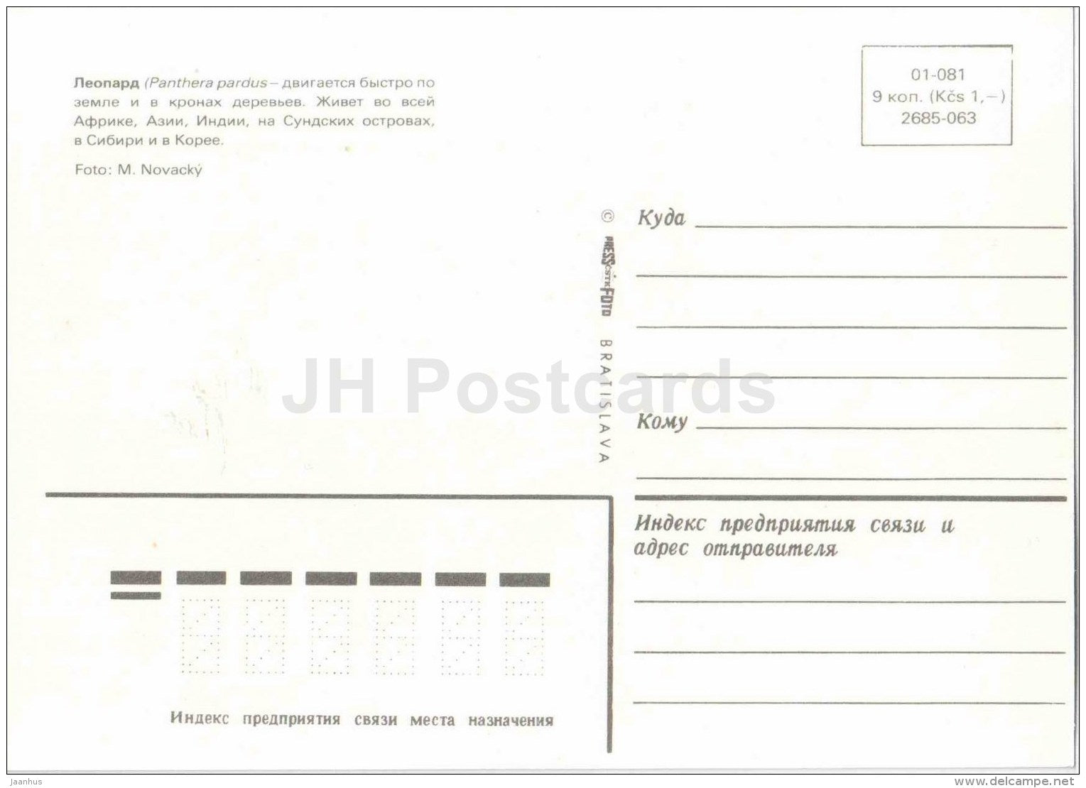 Leopard - Panthera pardus - animal - Zoo Animals - Czehoslovakia - unused - JH Postcards