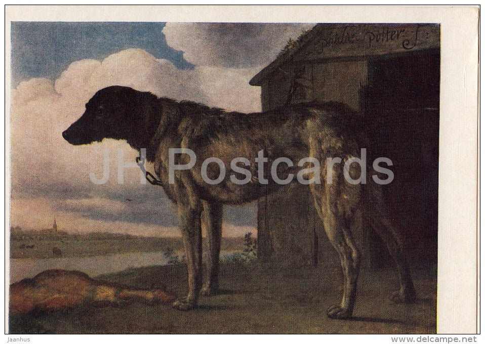 painting by Paulus Potter - Dog - Dutch art - Russia USSR - 1958 - unused - JH Postcards