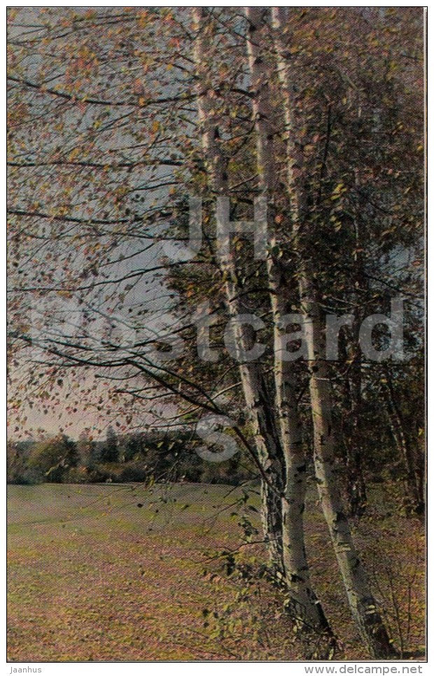 a clearing near the river Voronka - Russian writer Leo Tolstoy Museum - Yasnaya Polyana - 1971 - Russia USSR - unused - JH Postcards