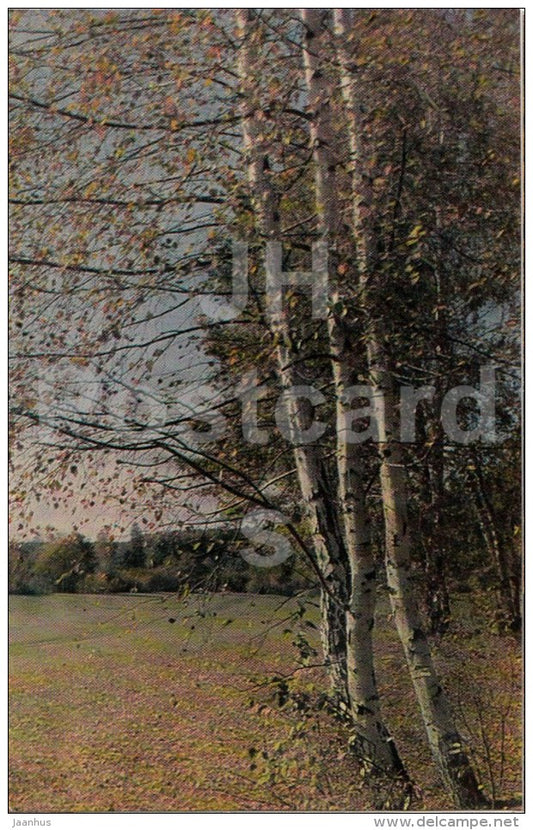 a clearing near the river Voronka - Russian writer Leo Tolstoy Museum - Yasnaya Polyana - 1971 - Russia USSR - unused - JH Postcards