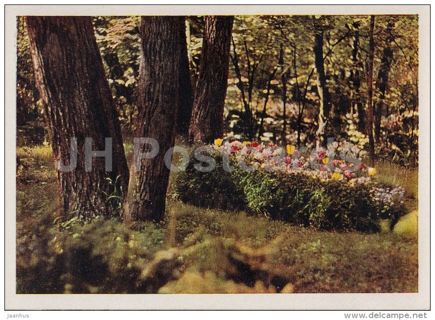 Tolstoy´s Grave - Russian writer Leo Tolstoy House Museum - Yasnaya Polyana - 1963 - Russia USSR - unused - JH Postcards