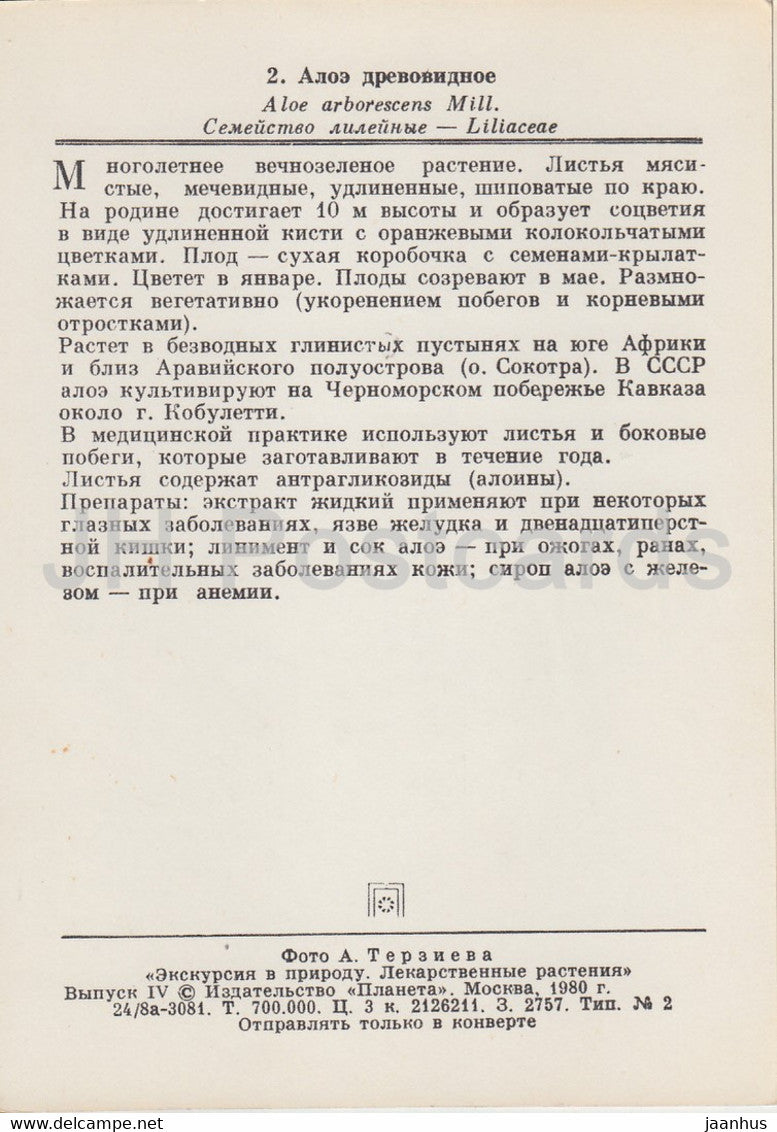 Candélabre aloès - Aloe arborescens - Plantes médicinales - 1980 - Russie URSS - inutilisé