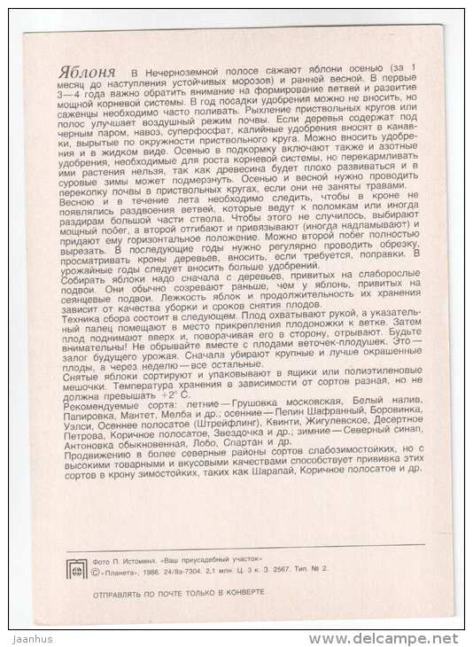 Apple - trees - fruit - 1986 - Russia USSR - unused - JH Postcards