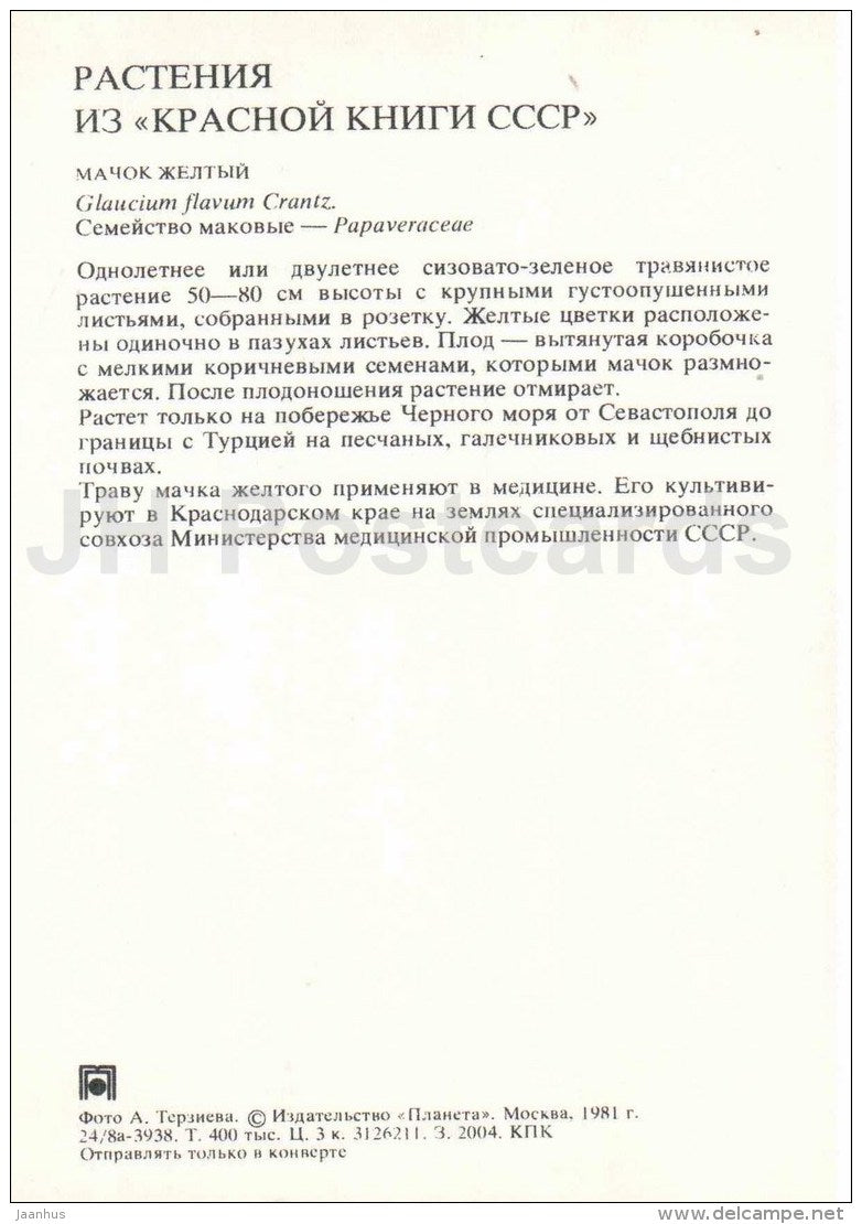Horned Poppy - Glaucium flavum - Endangered Plants of USSR - nature - 1981 - Russia USSR - unused - JH Postcards