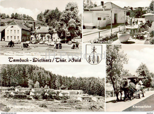 Tambach Dietharz - Thur Wald - Erholungsheim Spittergrund - Pinguin Eisbar - horse - old postcard - Germany DDR - used - JH Postcards
