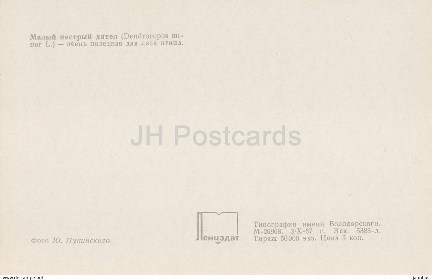 Kleinspecht - Dendrocopos minor - Vögel - 1968 - Russland UdSSR - unbenutzt