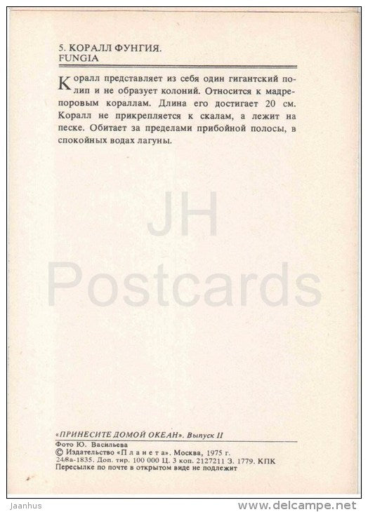 Fungia - coral - 1975 - Russia USSR - unused - JH Postcards