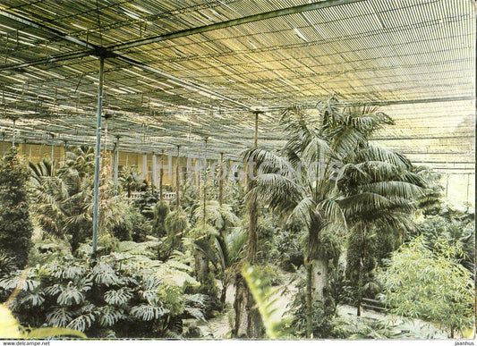 Lisbon - Lisboa - Estufa Fria - greenhouse - 1986 - Portugal - used - JH Postcards