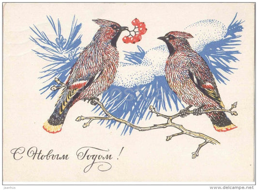 New Year Greeting Card by V. Kolganov - birds - stationery - AVIA - 1969 - Russia USSR - used - JH Postcards