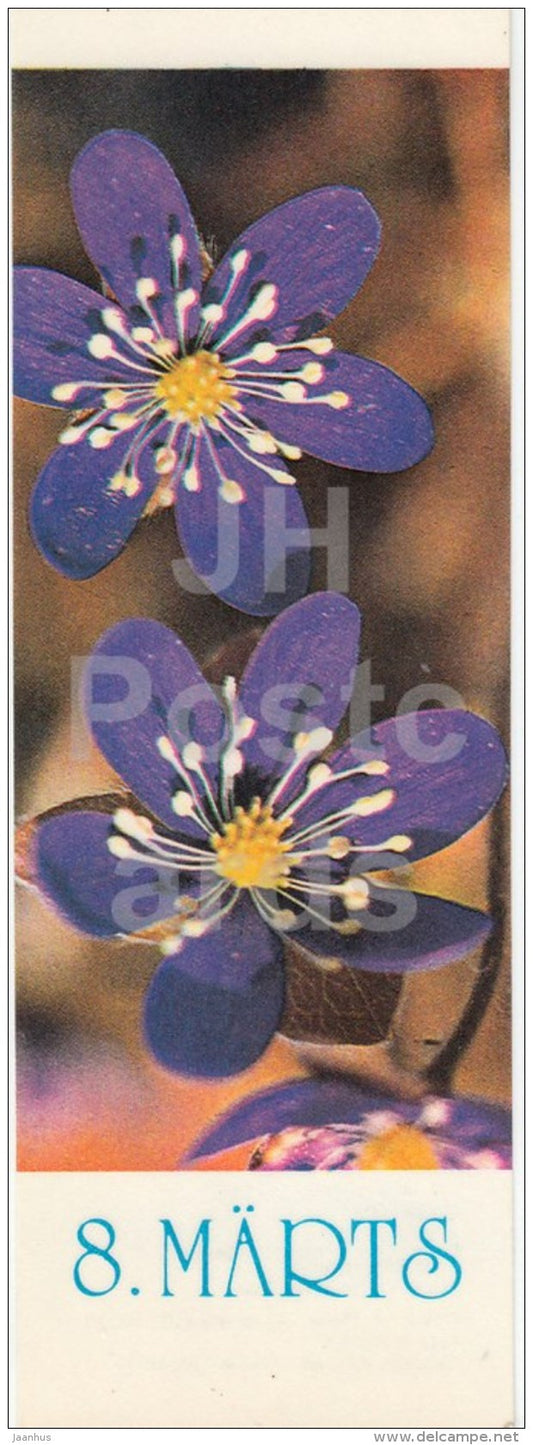 8th March greeting card - Blue Flower - 1981 - Estonia USSR - unused - JH Postcards