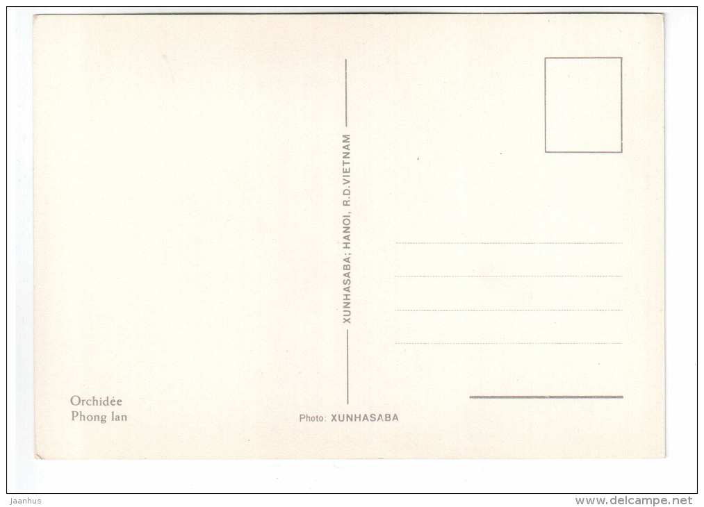 yellow orchid - flowers - Vietnam - unused - JH Postcards