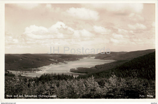 Blick auf den Schluchsee - Schwarzwald - 114 - old postcard - Germany - unused - JH Postcards