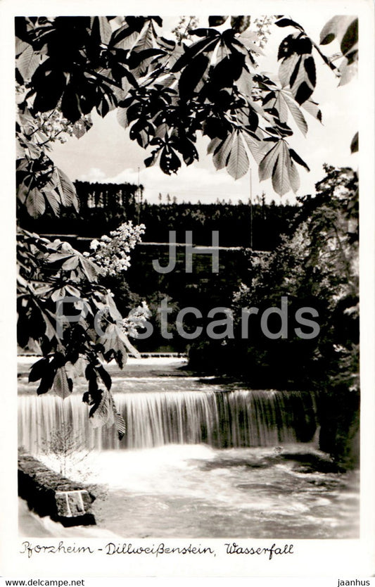 Pforzheim - Dillweissenstein - Wasserfall - waterfall - old postcard - Germany - unused - JH Postcards