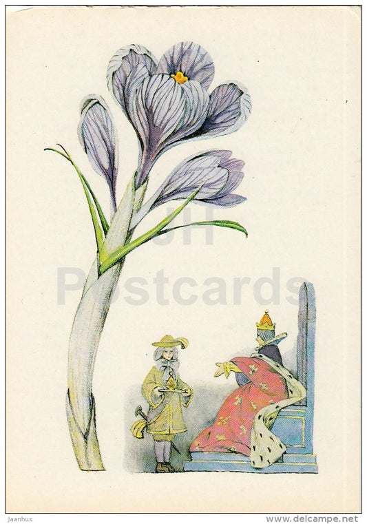 Saffron - Spice Plants - 1983 - Russia USSR - unused - JH Postcards