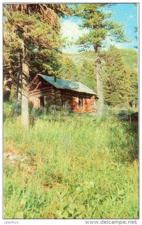 forest cordon - Lake Teletskoye - Altay - 1972 - Russia USSR - unused - JH Postcards