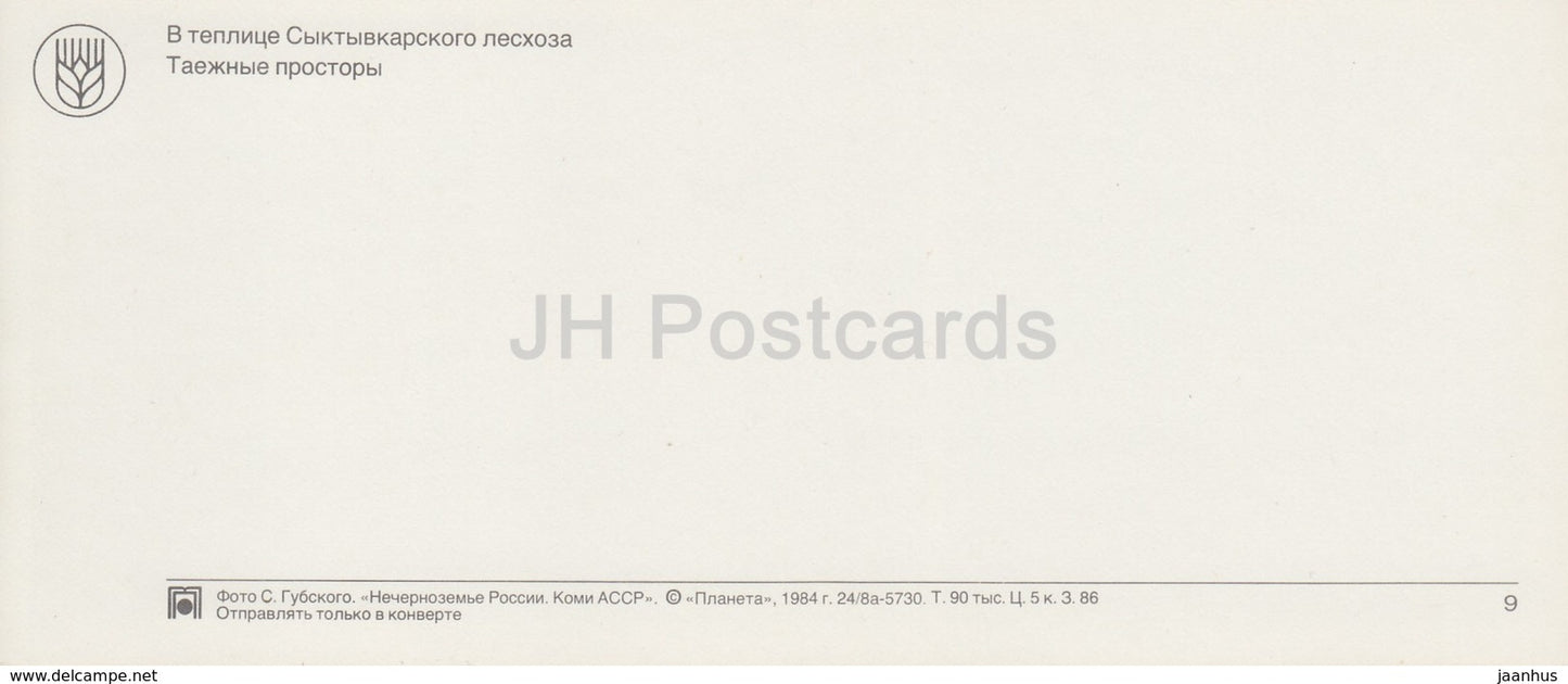 Syktyvkar Forest Farm – Taiga Forest – Republik Komi – 1984 – Russland UdSSR – unbenutzt