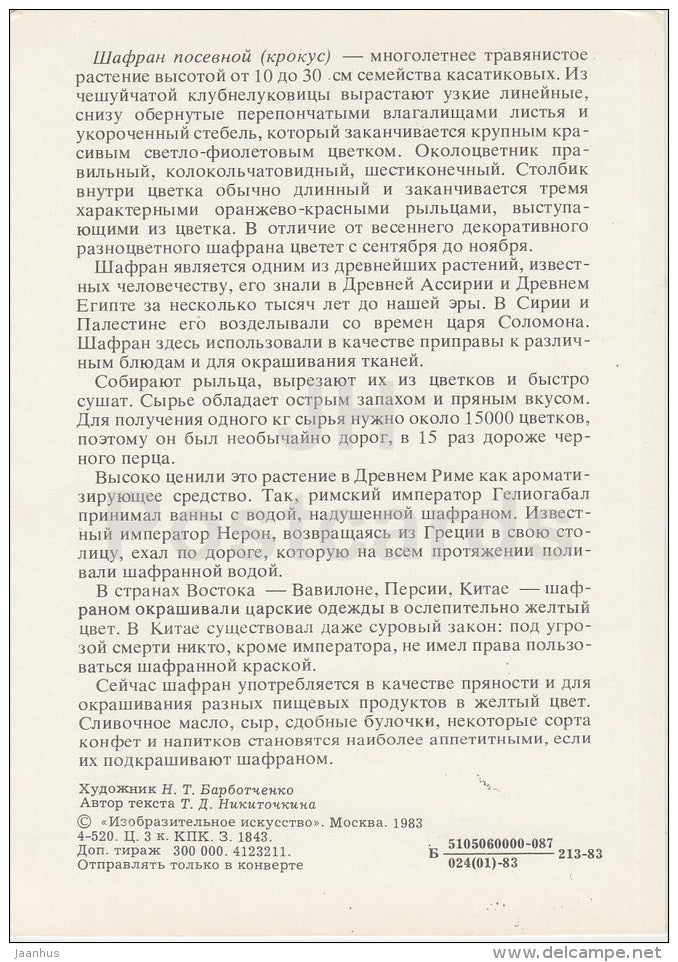 Saffron - Spice Plants - 1983 - Russia USSR - unused - JH Postcards
