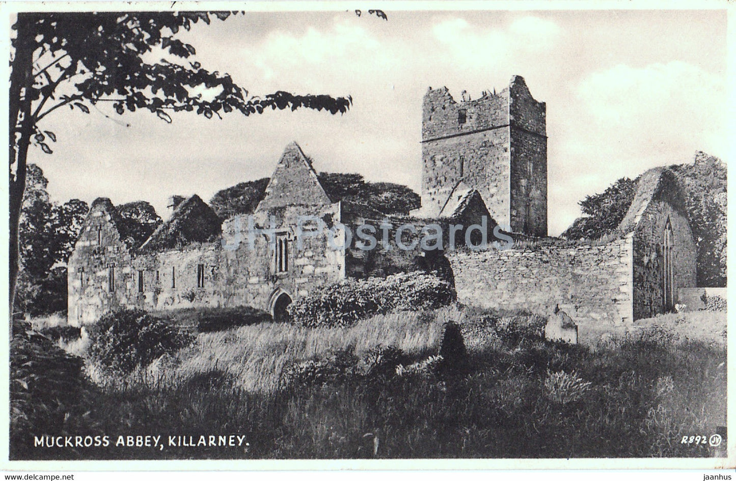 Muckross Abbey - Killarney - old postcard - Ireland - used - JH Postcards