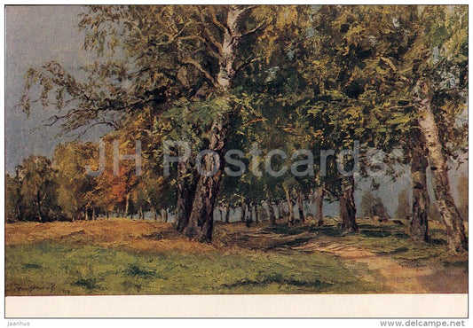 painting by B. Yakovlev - Birch Alley - Russian art - 1953 - Russia USSR - unused - JH Postcards