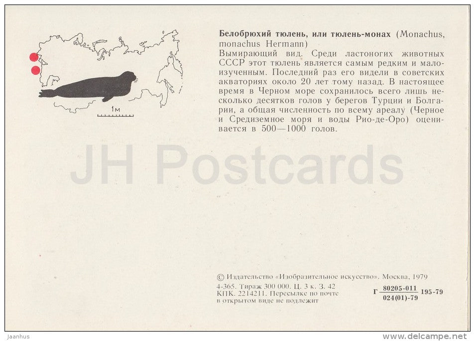 Mediterranean monk seal - Monachus monachus - Endangered species - 1979 - Russia USSR - unused - JH Postcards