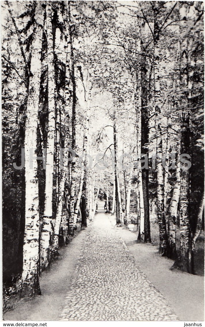 Russian Artist Repin Museum in Penaty - Birch Alley - 1979 - Russia USSR - unused - JH Postcards