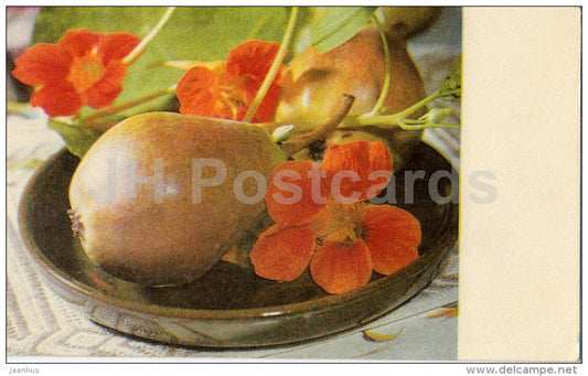 Autumn composition - pear - flowers - 1974 - Estonia USSR - unused - JH Postcards